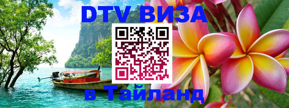 Оформление DTV визы под ключ: стоимость и тарифы, только загранпаспорт - Санкт-Петербург  20.11.2025 